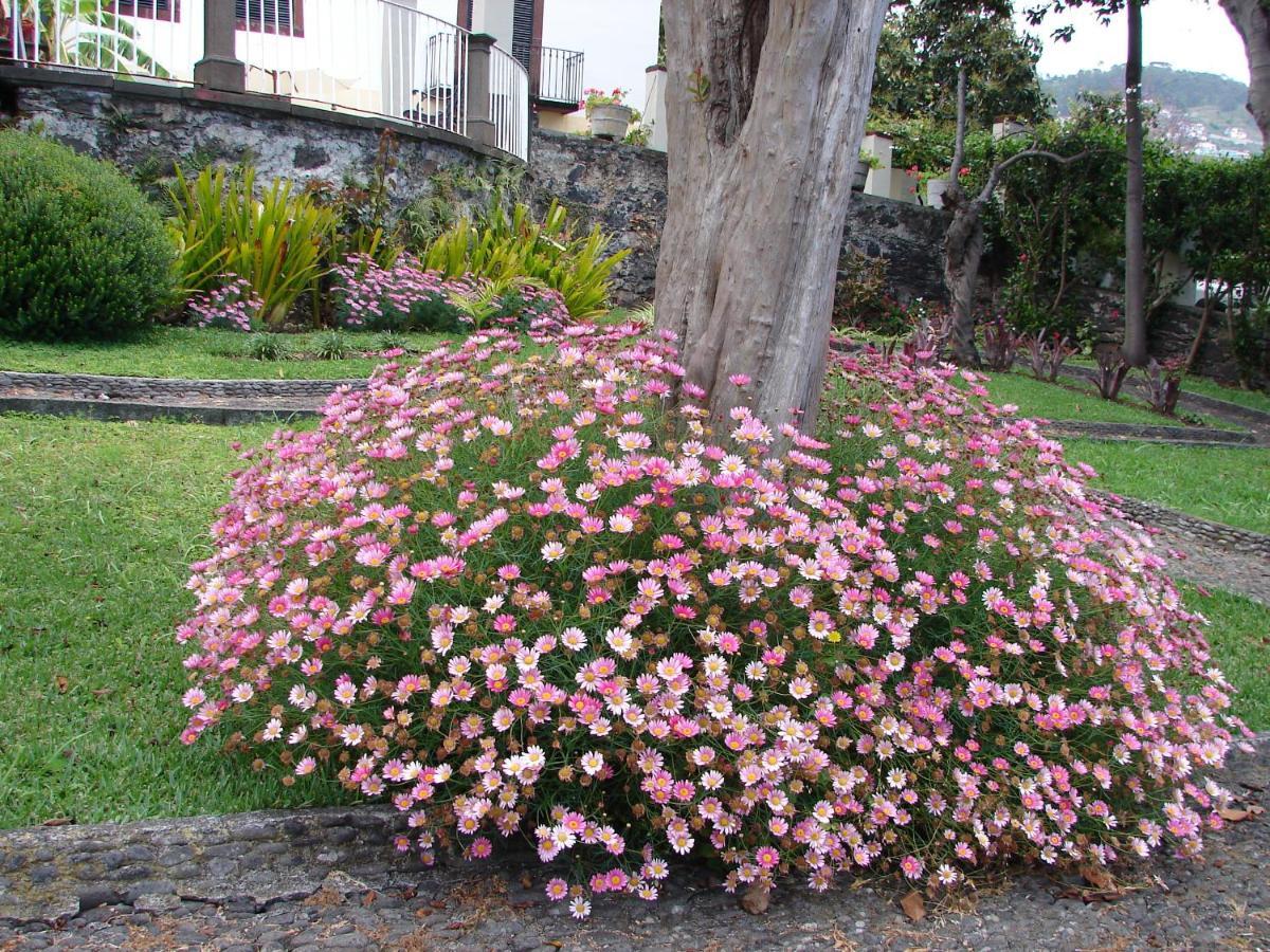 Romantic Studio Funchal  Eksteriør billede